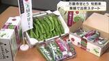「京の夏を告げる「万願寺甘とう」出荷開始　肉厚で甘みたっぷりのブランド野菜　暖かい春で生育順調　今年は収穫も早めに　京都・舞鶴市」の画像1