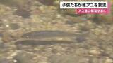 「「大きくなるまで育ってほしい」アユの稚魚放流　地元の子どもたちが清流へ　6月1日にアユ漁解禁へ 　兵庫・養父市」の画像1