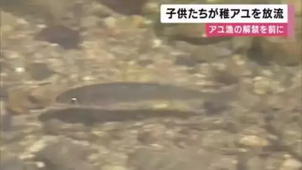 「大きくなるまで育ってほしい」アユの稚魚放流　地元の子どもたちが清流へ　6月1日にアユ漁解禁へ 　兵庫・養父市