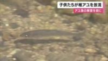 「大きくなるまで育ってほしい」アユの稚魚放流　地元の子どもたちが清流へ　6月1日にアユ漁解禁へ 　兵庫・養父市
