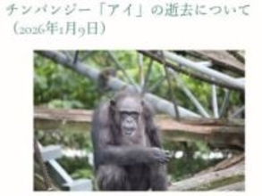 チンパンジーの「アイ」死ぬ　49歳　高齢などのため　研究パートナーとして貢献大　ヒトのこころの進化を考える基盤に　京大研究センター