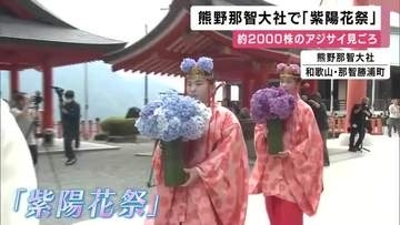 世界遺産・熊野那智大社で「紫陽花祭」開催　アジサイを神前に供え祈り　約2000株の花々が境内を鮮やかに彩る　和歌山・那智勝浦町