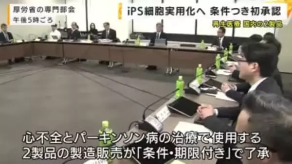 ｉＰＳ細胞が世界初の実用化へ　再生医療の国内２製品を条件付き初承認　厚労省の専門部会　７年間で有効性を確認できれば正式承認へ