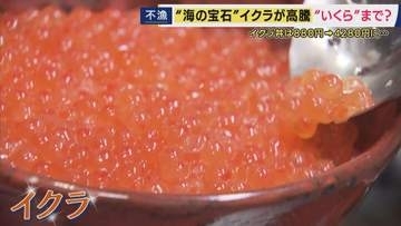 「イクラ丼のさらなる値上げも考えざるを得ない」イクラ丼は880円→4280円に　記録的なサケ不漁でイクラの価格が高騰　エサとなるプランクトンの減少が要因か
