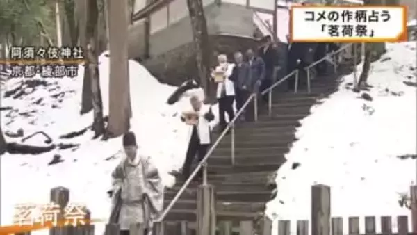 ミョウガの生育ぶりでコメの作柄占う「茗荷祭」京都・綾部市