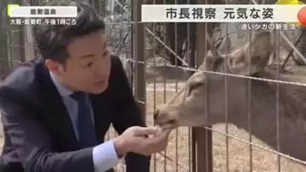 大阪市内で相次ぎ目撃された迷いシカ　温泉施設へ移送し元気な姿　横山市長が現地を視察　名前はSNSで募集　「シカやん」が有力候補に