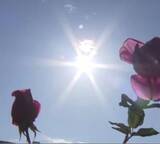 「「12月なのに上着いらず？」近畿各地で20度超えが続出 大阪市は20.8度を観測　驚きの声が相次ぐ“季節外れの暖かさ”」の画像1