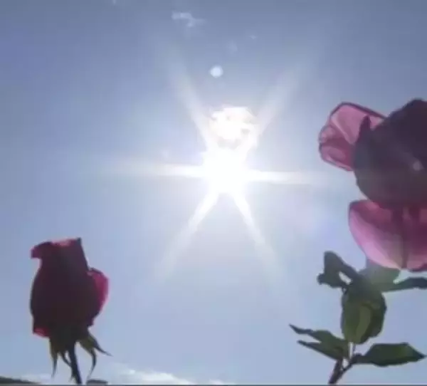 「12月なのに上着いらず？」近畿各地で20度超えが続出 大阪市は20.8度を観測　驚きの声が相次ぐ“季節外れの暖かさ”