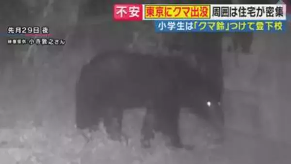 「こんなとこまで来るなんて」東京・八王子の住宅地にクマ　“繁殖期”に高まる母グマの攻撃性　「生きた心地がしなかった」壮絶体験をした人も　対策法を専門家が解説