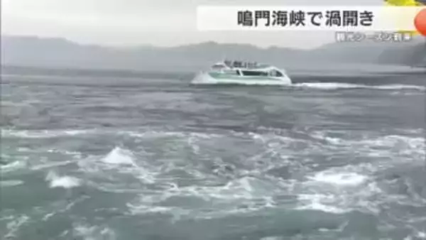 鳴門海峡に黄金の鍵　春の大潮シーズン到来「渦開き」　直径20メートル級の大渦に観光客は歓声　徳島