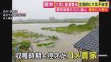 「【現場報告】米農家「水が引いてない…等級も落ちるしだいぶ減収に」　“平年の8月ひと月分の雨量を大きく上回る雨”降った石川・羽咋市　収穫前の稲に打撃　駐車場の軽トラックが雨で流され横転する被害も」の画像1