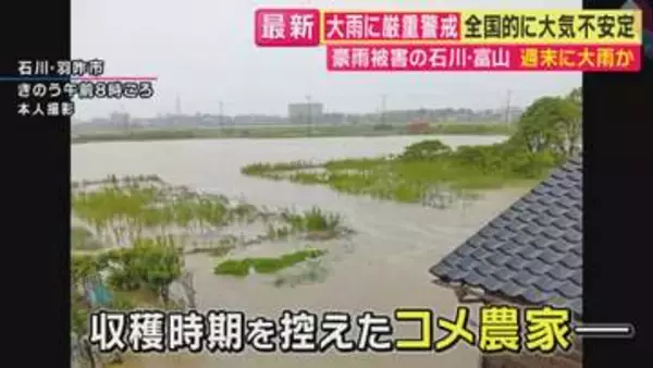 【現場報告】米農家「水が引いてない…等級も落ちるしだいぶ減収に」　“平年の8月ひと月分の雨量を大きく上回る雨”降った石川・羽咋市　収穫前の稲に打撃　駐車場の軽トラックが雨で流され横転する被害も