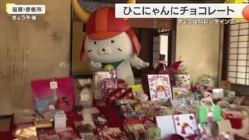 人気キャラ・ひこにゃん誕生20年のバレンタイン　全国から242個の贈り物　机いっぱいのプレゼントに鈴でお礼　食べきれない分はフードバンクへ　滋賀・彦根市