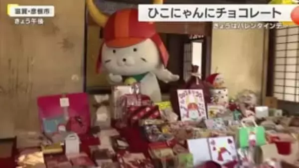 人気キャラ・ひこにゃん誕生20年のバレンタイン　全国から242個の贈り物　机いっぱいのプレゼントに鈴でお礼　食べきれない分はフードバンクへ　滋賀・彦根市