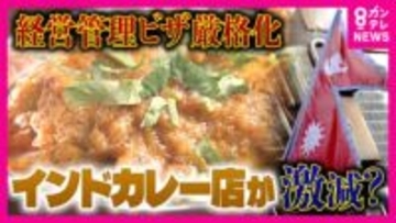 「3000万はちょっと厳しい」『経営・管理ビザ』“厳格化”でネパール人経営者が支えるインドカレー店に存続危機　ビザ取得要件「資本金500万円→3000万円」に