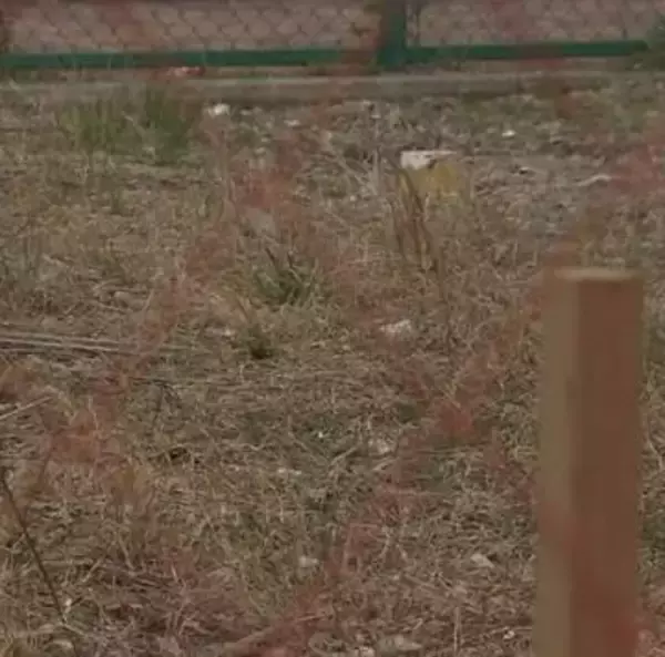 「大阪・道頓堀の地面師事件　共謀疑いの男3人が不起訴に　闇バイト応募と供述し一部は容疑認めるも…大阪地検「証拠関係に照らし」処分見送り」の画像