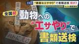 「“迷惑なエサやり”　全国初の書類送検も“いたちごっこ”　自宅敷地内にまでエサが撒かれ…　“悪質なエサやり”は50万円以下の罰金の可能性も」の画像1