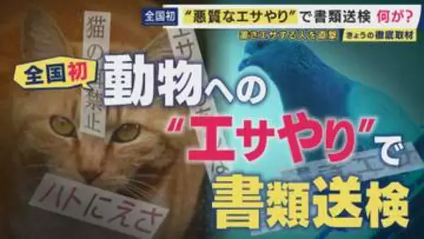 “迷惑なエサやり”　全国初の書類送検も“いたちごっこ”　自宅敷地内にまでエサが撒かれ…　“悪質なエサやり”は50万円以下の罰金の可能性も