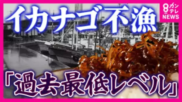 「頼むから獲れて」関西の春の風物詩“イカナゴ”に危機　「過去最低レベル」の不漁で大阪湾では3年連続の“自主禁漁”　海水温上昇で冬眠ならぬ“夏眠”できず