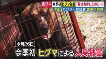 「弾は命中したんですけど、それでも絶命しなくて」冬眠明けの“巨大ヒグマ”がハンターを襲った恐怖の瞬間　今季初の「ヒグマ人身被害」　専門家が指摘する“危険の連鎖”　GW以降、人里でもさらなる警戒を