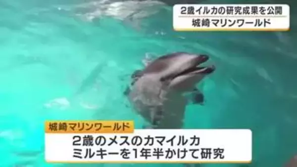 イルカの研究成果を公開　2歳イルカ「ミルキー」が10種類以上の動作を習得　大人の動きをまねて学ぶ　学会でも発表　兵庫・城崎マリンワールド
