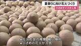 「夏祭りに向けて花火づくり　人件費の上昇や資材の高騰で花火大会は縮小傾向　小さめのサイズの花火が人気」の画像1