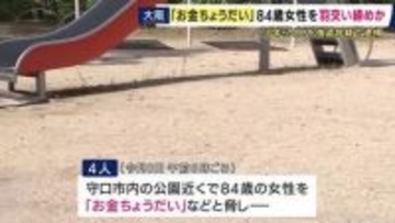 １５～１７歳の男女逮捕　散歩中の８４歳女性襲い現金８万円など在中の財布奪った疑い　大阪・守口市