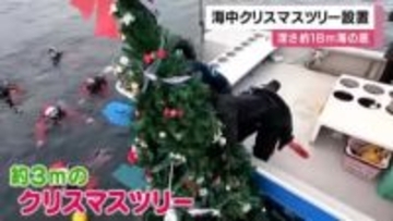 サンタダイバーが海底へお届け　深さ18メートルに海中クリスマスツリー設置　和歌山・串本町