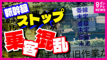 新幹線依存の危うさ　飛行機の16倍の輸送力　東海道新幹線ストップで『客大混乱』　北陸新幹線の代替機能に期待