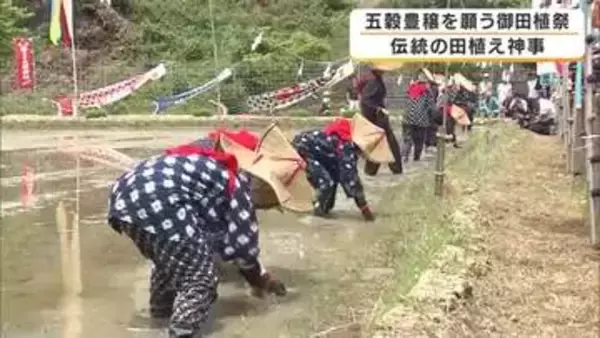 秋には鏡餅に　京都・福知山の大原神社で御田植祭　地元住民や子どもたちが伝統行事を受け継ぐ　京都・福知山市
