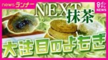 “ネクスト抹茶”『ヨモギ』　抹茶の品薄・高騰で注目集まる　ヨモギ農家に転身した人も
