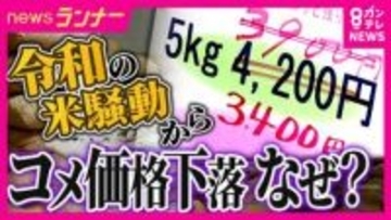 今後「5キロ税込み2000円台」も？「一時5000円台」コメ価格が一転して下落「消費者のコメ離れ。赤字覚悟で値下げ」と販売業者　農家は「農機具は軽油とか燃料使いますし…」中東情勢でコスト増に懸念