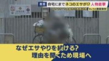 “迷惑なエサやり”で全国初の書類送検　“いたちごっこ”のエサやり行為　「頼まれて、ここだけ…」　自宅敷地内にエサを撒かれる被害も…　“悪質なエサやり”は罰金の可能性も