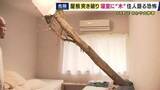 「「ドンという音とともに刺さっていた。あおむけで寝ていたのであと数センチで体に当たっていた」和歌山・白浜町　風の影響か　倒木が住宅に突き刺さる」の画像1