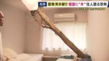 「ドンという音とともに刺さっていた。あおむけで寝ていたのであと数センチで体に当たっていた」和歌山・白浜町　風の影響か　倒木が住宅に突き刺さる