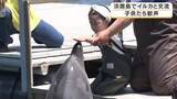 「「めっちゃかわいかった」　海の中で触れ合えるイルカに子どもたちも歓声　背びれにつかまる体験も　夏日の淡路島で大人気　南あわじ市」の画像1