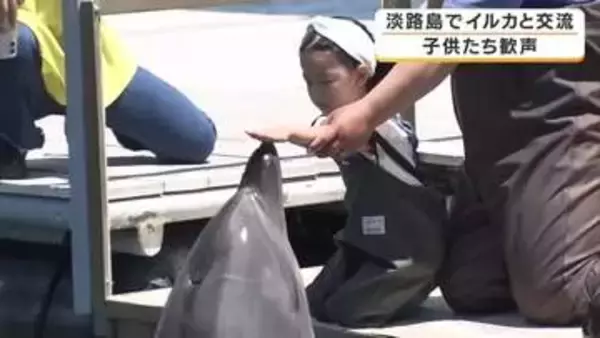 「めっちゃかわいかった」　海の中で触れ合えるイルカに子どもたちも歓声　背びれにつかまる体験も　夏日の淡路島で大人気　南あわじ市