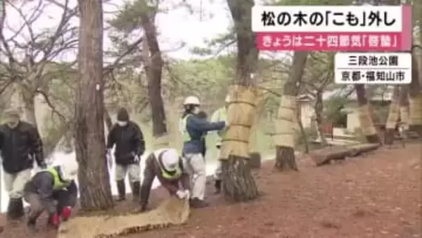 啓蟄　松の木から「こも」外す　長年の害虫駆除方法　こもに眠る虫ごと焼却　京都・福知山市　三段池公園