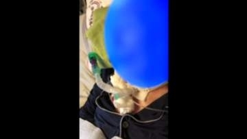 【速報】「親父の尊厳を守りたかった」　大阪公立大病院で骨折手術後に意識不明に　遺族が起こした裁判で医療過誤の責任認め病院に約4600万円の賠償命じる判決　「公表の遅れ」の訴えは退ける　大阪地裁