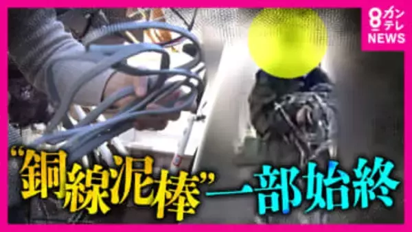 「白昼堂々“銅線”窃盗」防犯カメラに一部始終　大阪市の住宅で犯行わずか30秒　「ここは人が住んでる？」付近の住民に堂々と話しかけ敷地に侵入＜独自＞