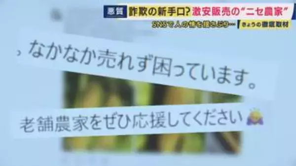 実在する農園の名を悪用も…SNSに潜む“ニセ農家”に注意　「不自然に安い価格は詐欺を疑って」　収穫期を迎えた旬のフルーツが標的に