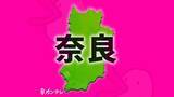 「【速報】市立奈良病院で”大規模システム障害”　電子カルテシステム使えず　救急受け入れ停止など　市長は「サイバー攻撃」と発信」の画像1