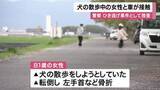 「散歩中の犬が急に走り出しリードが通行車と接触　81歳女性が転倒し手首骨折　堤防沿い道路で発生　運転の男はそのまま立ち去る　警察はひき逃げ事件として捜査　京都・城陽市」の画像1