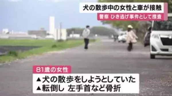 「散歩中の犬が急に走り出しリードが通行車と接触　81歳女性が転倒し手首骨折　堤防沿い道路で発生　運転の男はそのまま立ち去る　警察はひき逃げ事件として捜査　京都・城陽市」の画像