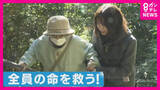 「到達時間までに避難できない高齢者をどう救うか　「最初の津波が6分で到達」和歌山・串本町の訓練で89歳女性は避難場所まで「12分」　「乗り物があったら…」との声　車避難を容認する自治体も」の画像1
