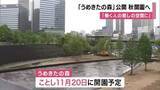 「「都市で働く人の癒しの空間に」大阪・梅田の再開発「うめきたの森」公開　１１月２０日開園　四季感じる桜などの木や滝などを整備」の画像1