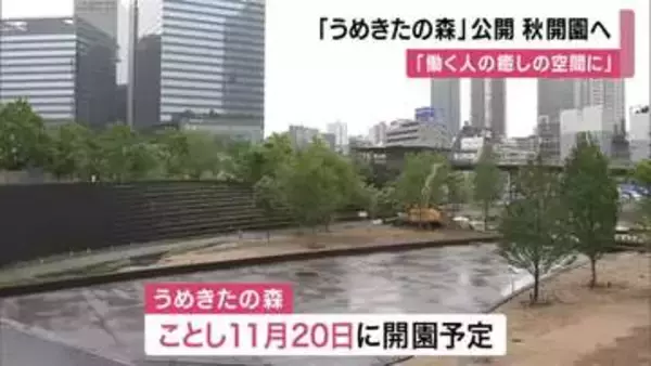 「都市で働く人の癒しの空間に」大阪・梅田の再開発「うめきたの森」公開　１１月２０日開園　四季感じる桜などの木や滝などを整備