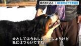 「「犬はうれしいんでしょうけど私はつらい…」『南国高知』も県内各地で冷え込み平野部でも氷点下　四万十市ではうっすら積雪も」の画像1