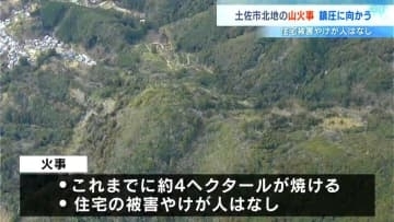 30日に高知県土佐市で発生した山林火災、一夜明け延焼の可能性はほぼなくなり鎮圧に向かう（31日午後6時現在）災害対策本部も解散済み
