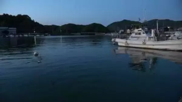 「父が海に浮いている」86歳男性が死亡…自身の船の横でうつ伏せで浮かぶ、船を見に行き事故に遭った可能性視野に捜査【高知・宿毛】